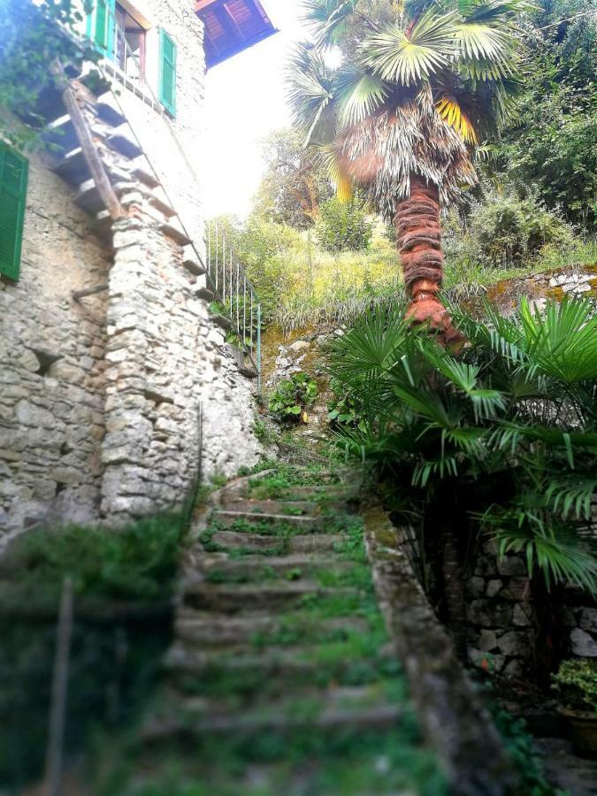 Rustico Vista Lago Daire Lezzeno Dış mekan fotoğraf